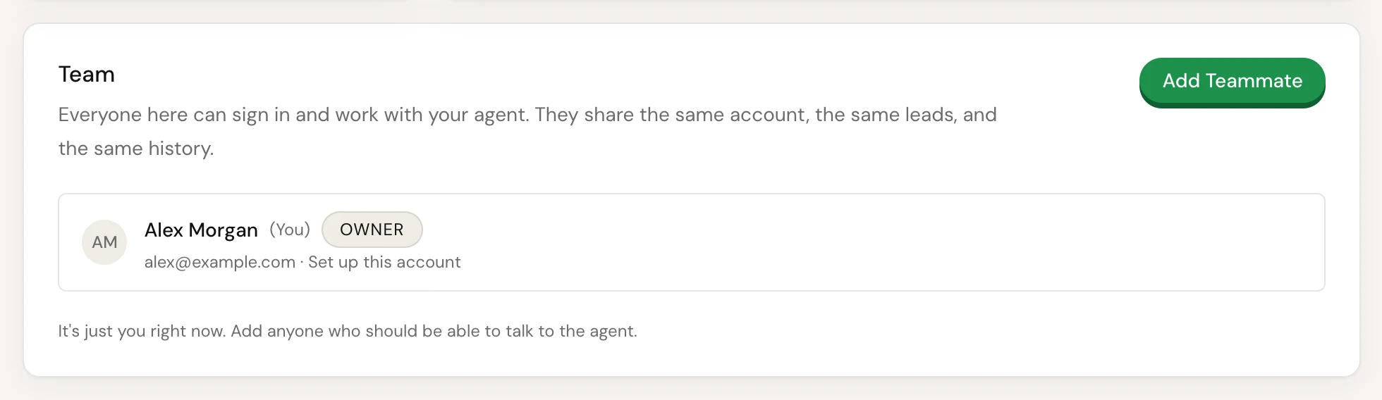 The Team card in Settings > Account, listing everyone on the account with the owner marked Owner, and an Add Teammate button in the top right